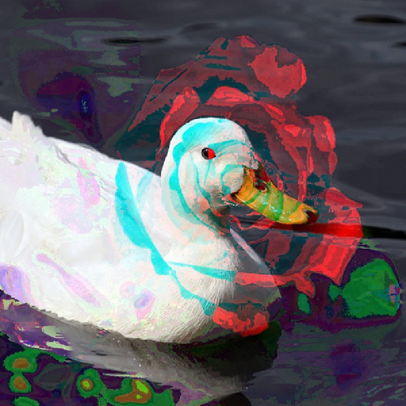 Python Code Jam 2023 Benevolens main image